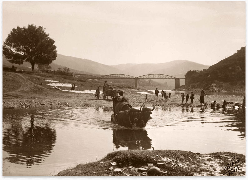 Cálem History Book